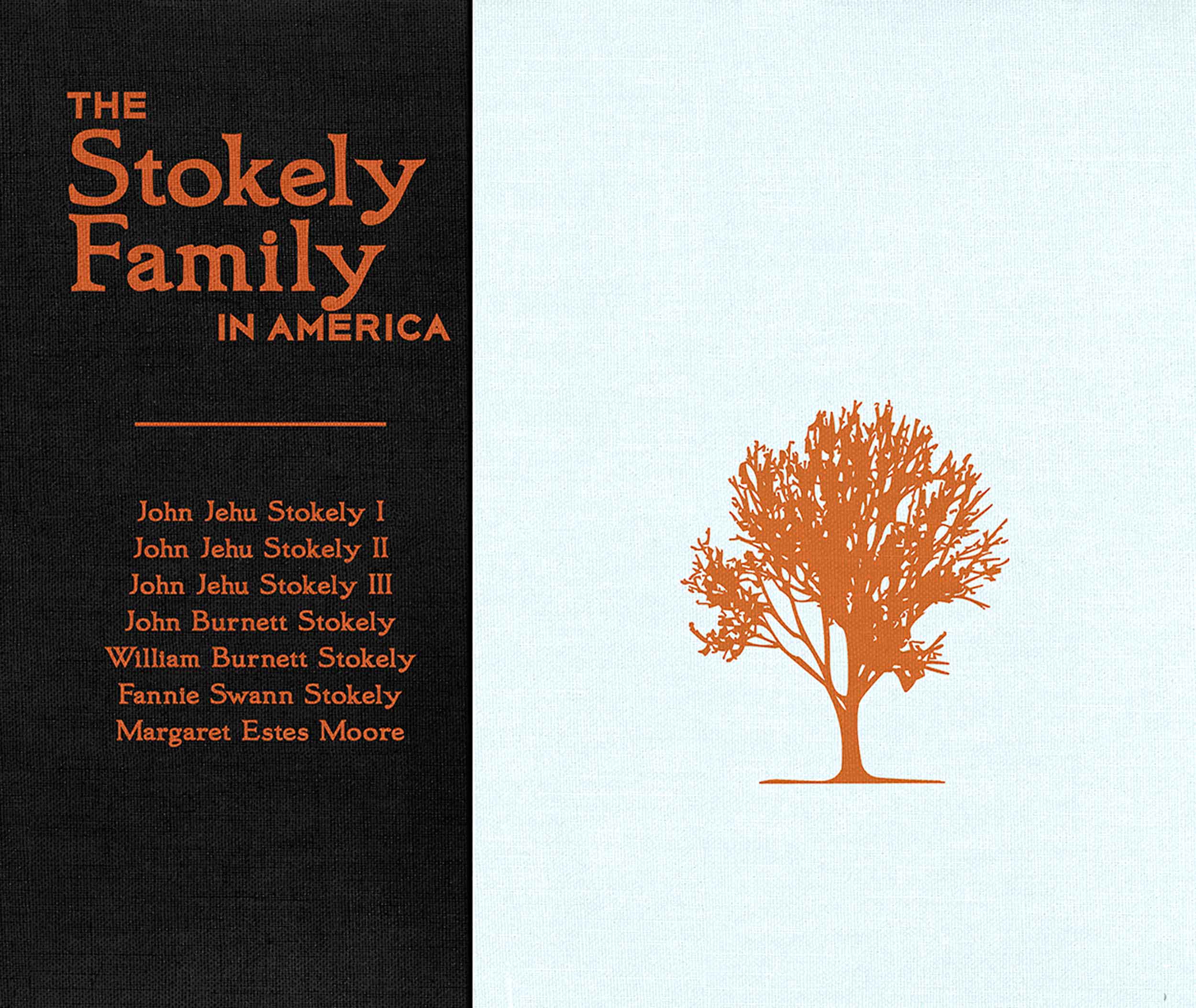 Stokely Book Cover